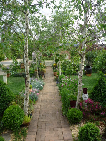 Robin Johnson Garden 3