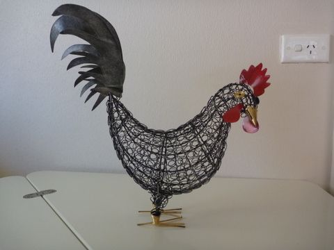 New addition to family!