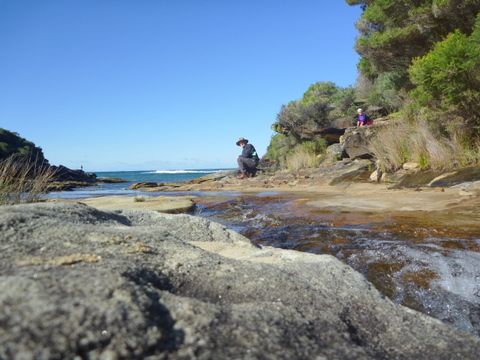 Bush walk to Curracarrang in RNP
