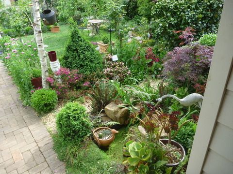Robin and his Sustainable Garden