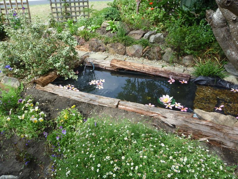 Garden pond