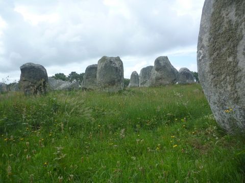 Visit to Carnac-additional pics
