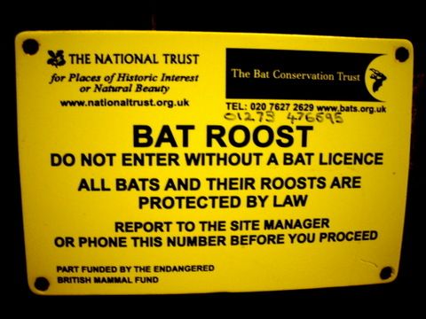 There's a training course for everything in the UK