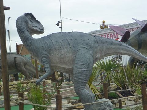 Dinosaurs and fossils