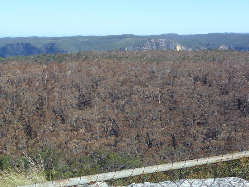 Blue Mountain fires