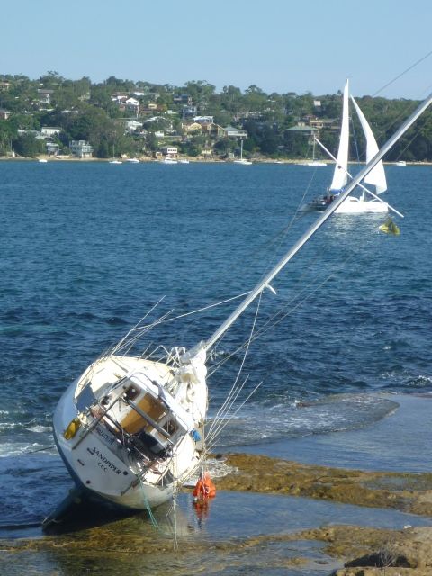 Yet another boat stranding! Plus Joey scout stand and band