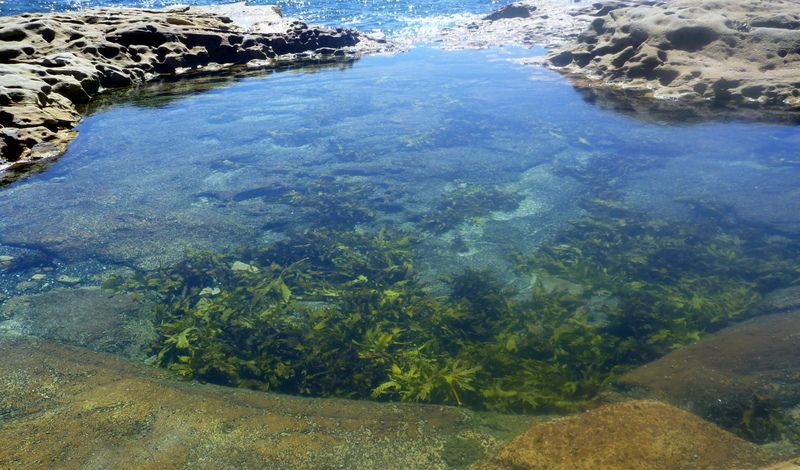 Lurline Beach to Bondi