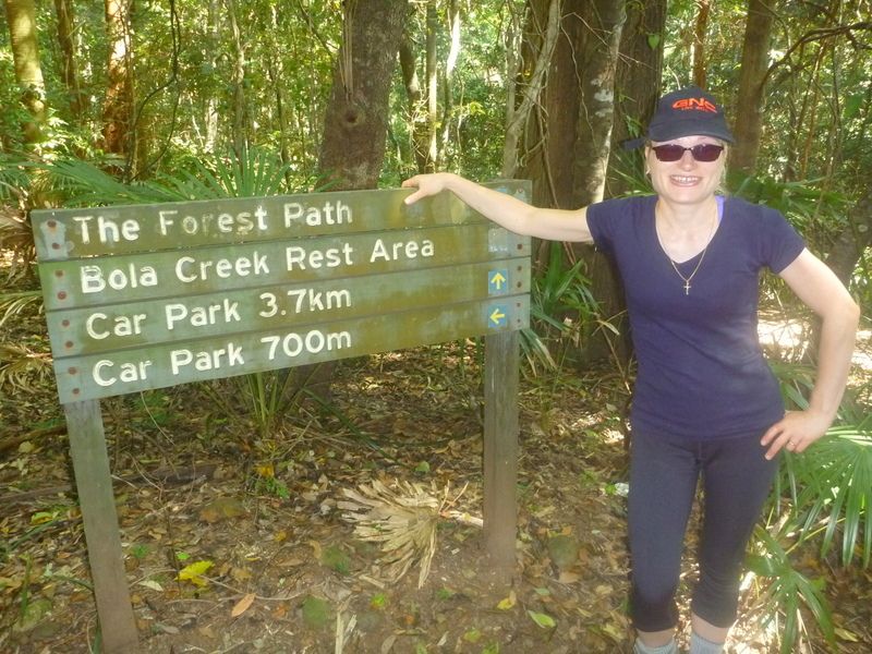 National Park-Forest Path