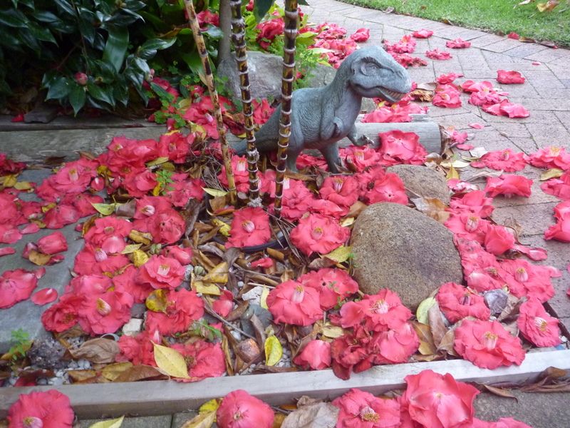 Camellias and dinosaurs!