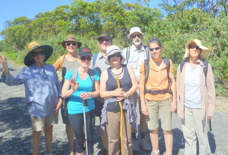Bundeena carvings walk, with the FASS group