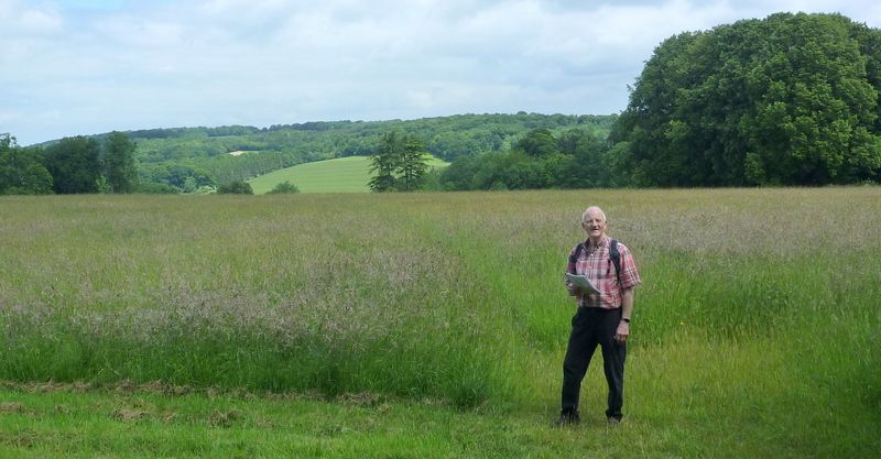 Walk with Clifford to Little Hampden