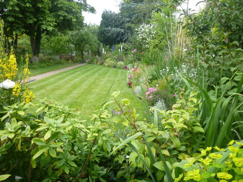 A neighbours' garden