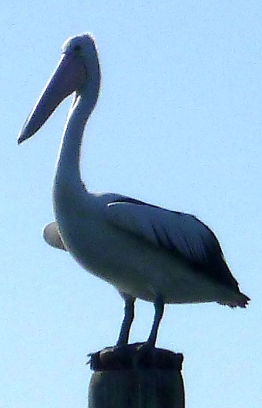 Woolooware Bay