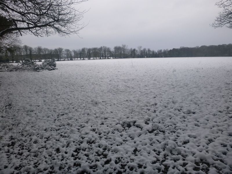 More snow today