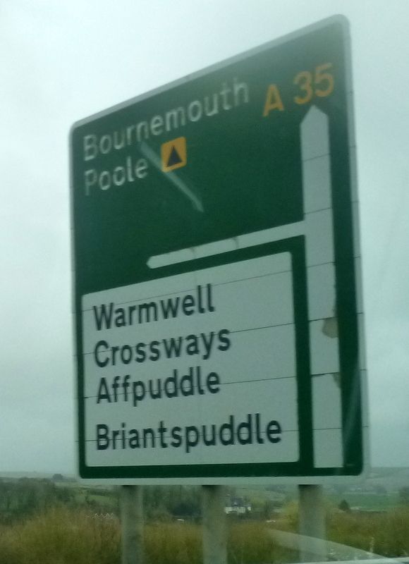 Stoke Gabriel to Emsworth and Selsey