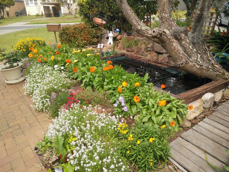Spring front garden 2018