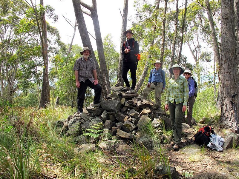 Mount Hay