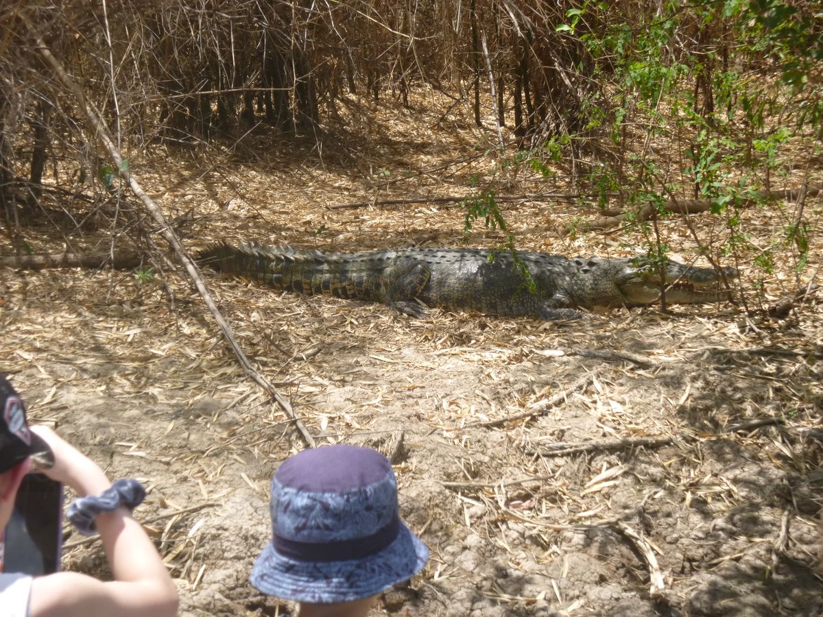 Day 2 to Jabiru