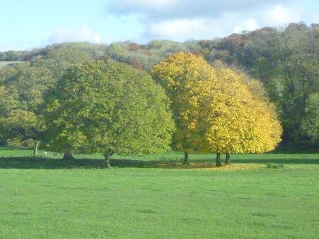 Colours at Hughenden Manor