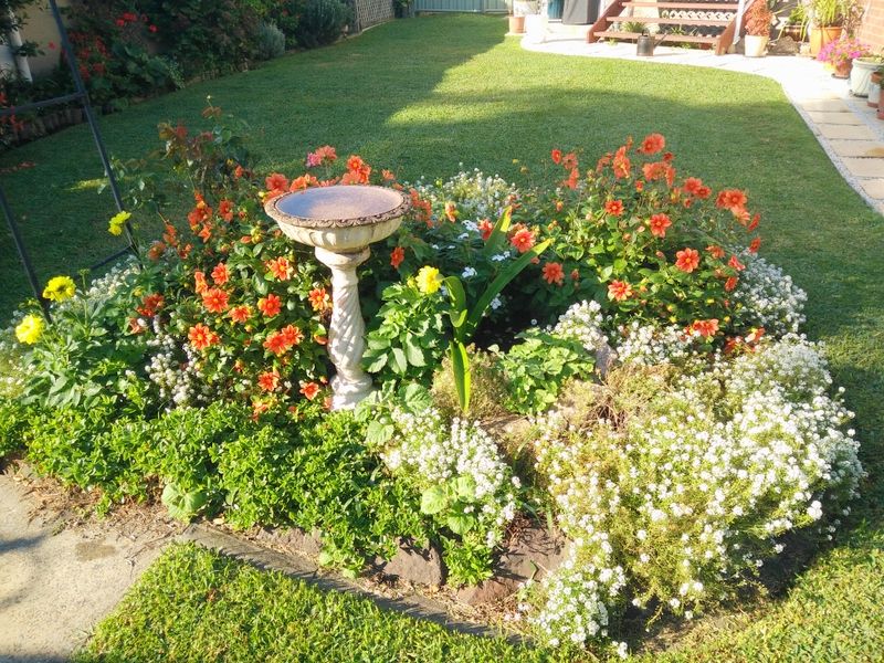 Garden in April