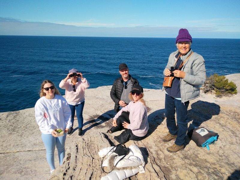 Whale watching -not!  Well , hardly