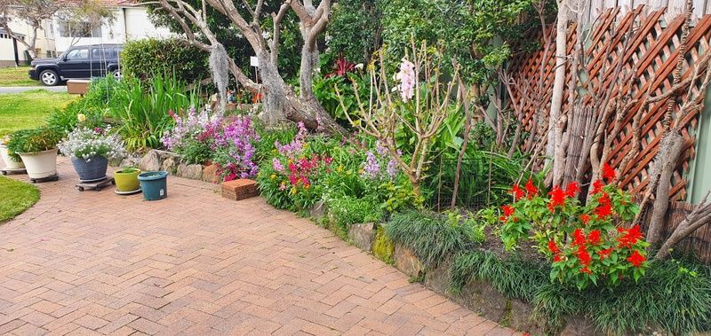 Front garden today