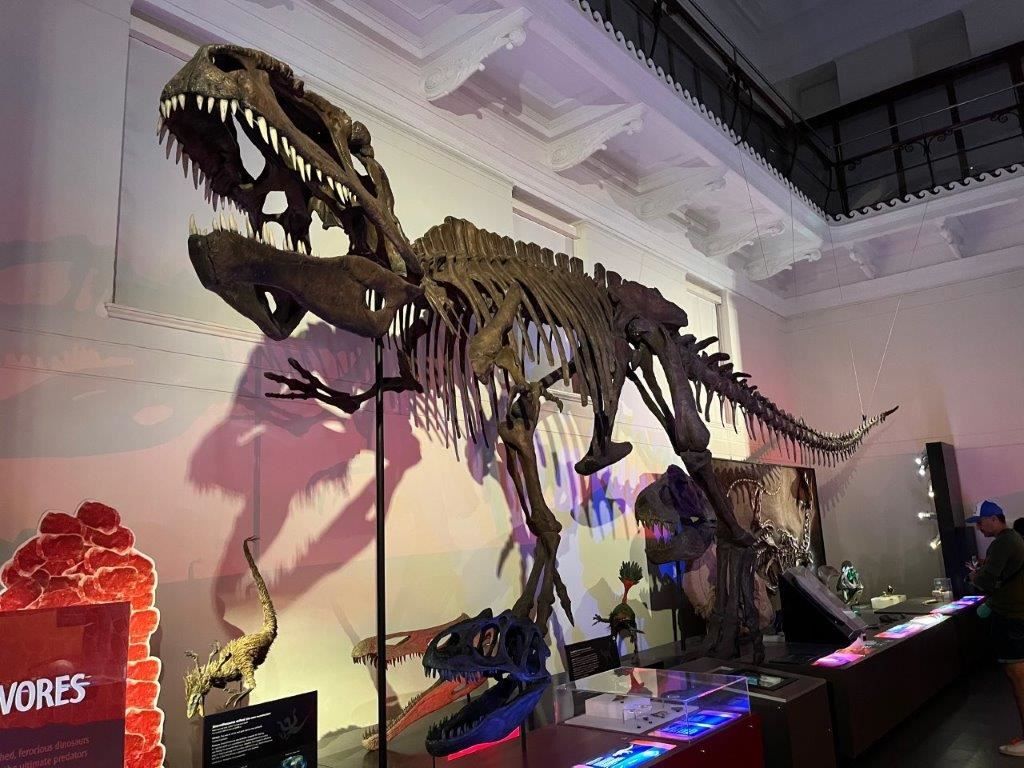 Sydney Museum