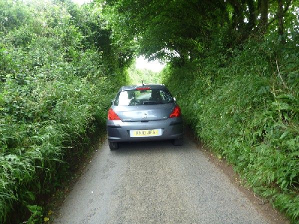 More beautiful gardens, more narrow lanes