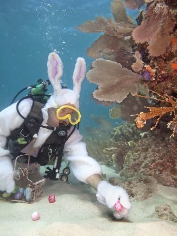 Is this how Scuba divers celebrate (a secular) Easter?