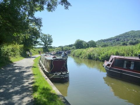 Govenor Phillip and Bathampton