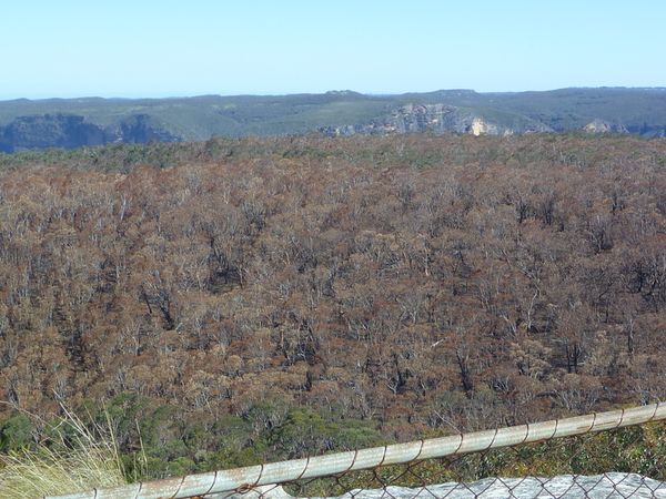 Blue Mountain fires