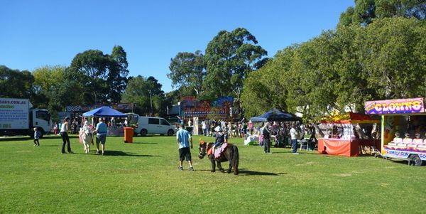 Scout fair