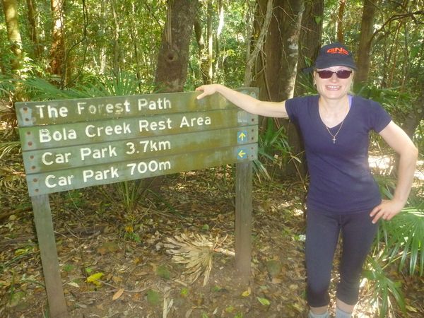 National Park-Forest Path