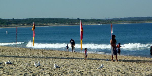 Swim at Cronulla Beach today