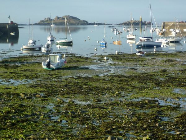 A quiet day in Roscoff