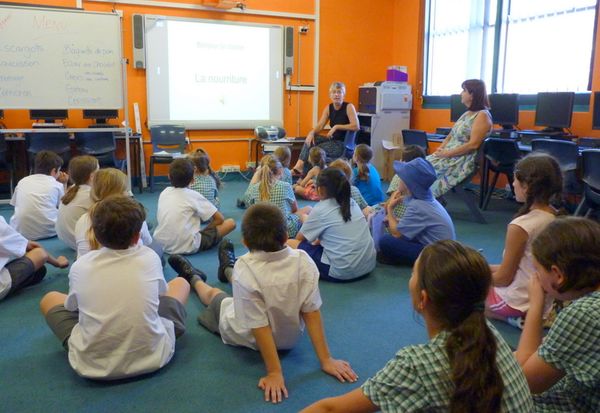 Bilingual School