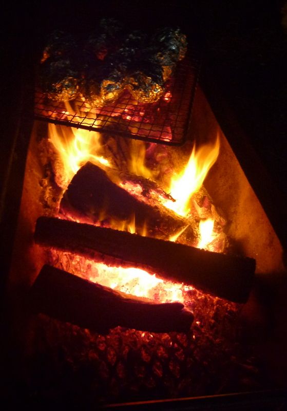 Scout cooking!