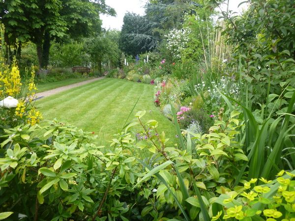 A neighbours' garden