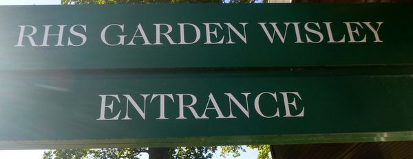 Royal Horticultural Gardens - Wisley