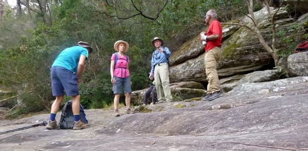 Heathcote circular walk via Karloo Pools, Kangaroo Creek and Uloola