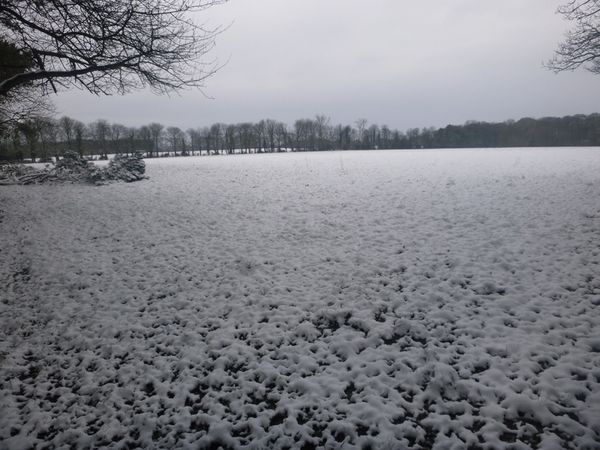More snow today