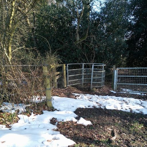 A walk in Nanfan Woods
