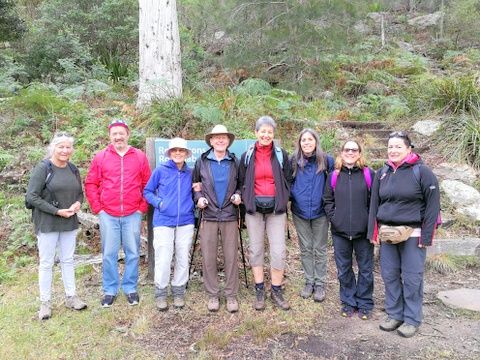 First post op bushwalk