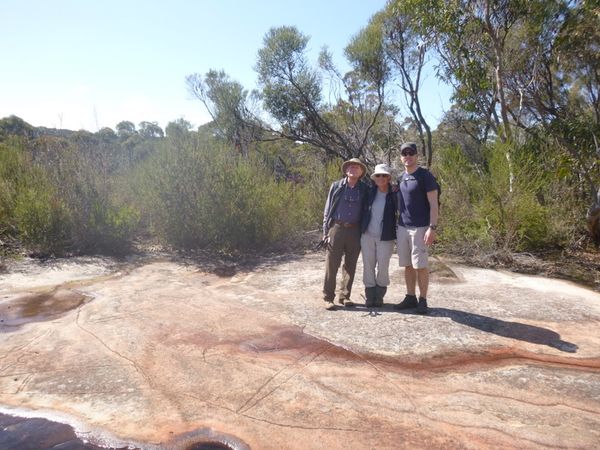 Kuringai National Park walk
