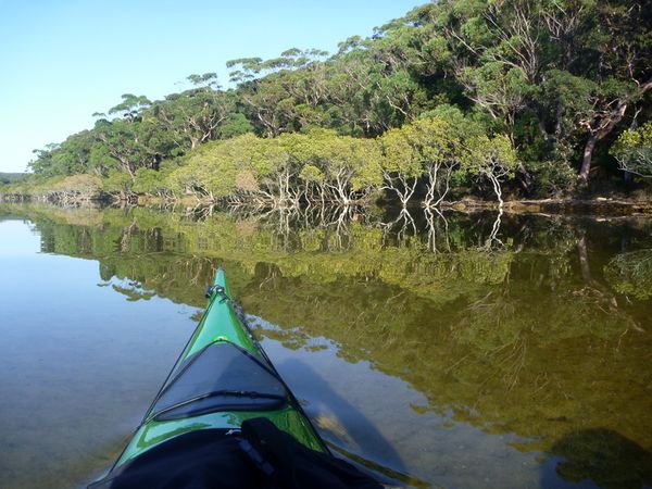 An early morning 'Basin' trip