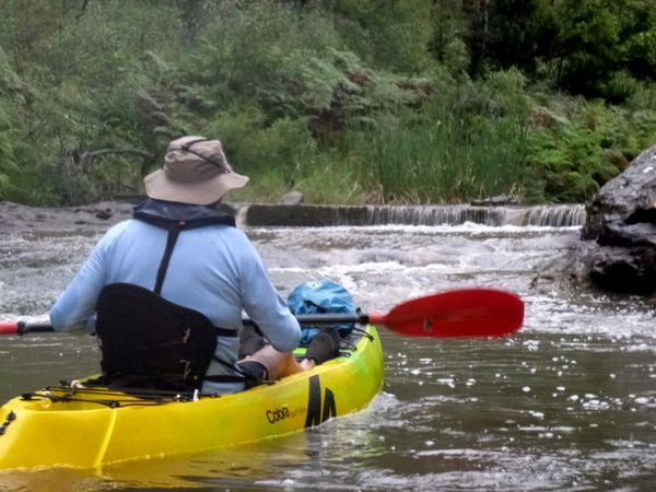 Kayak on Georges river