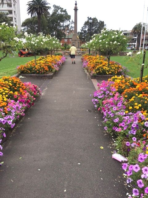 Flowers and a walk