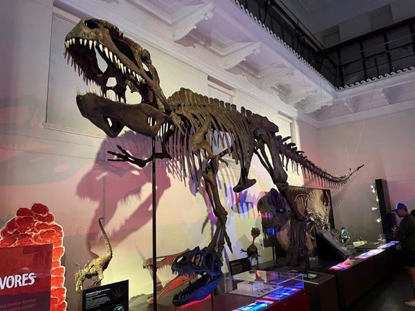 Sydney Museum