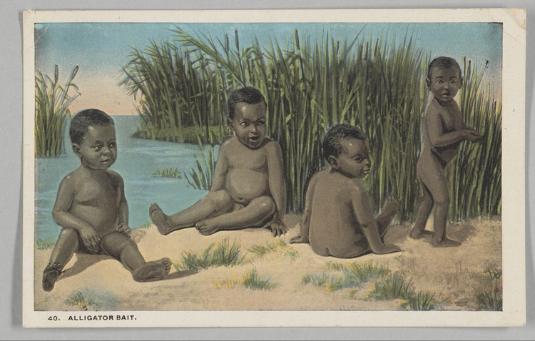 On 'Alligator Alcatraz'