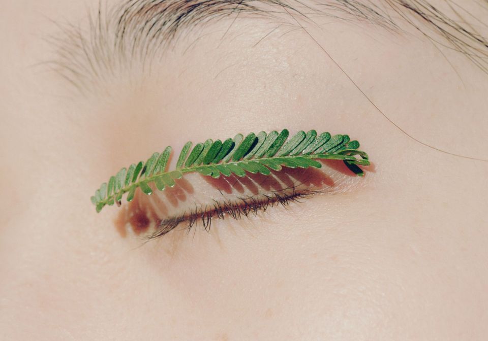 Finding Liberation in Nature